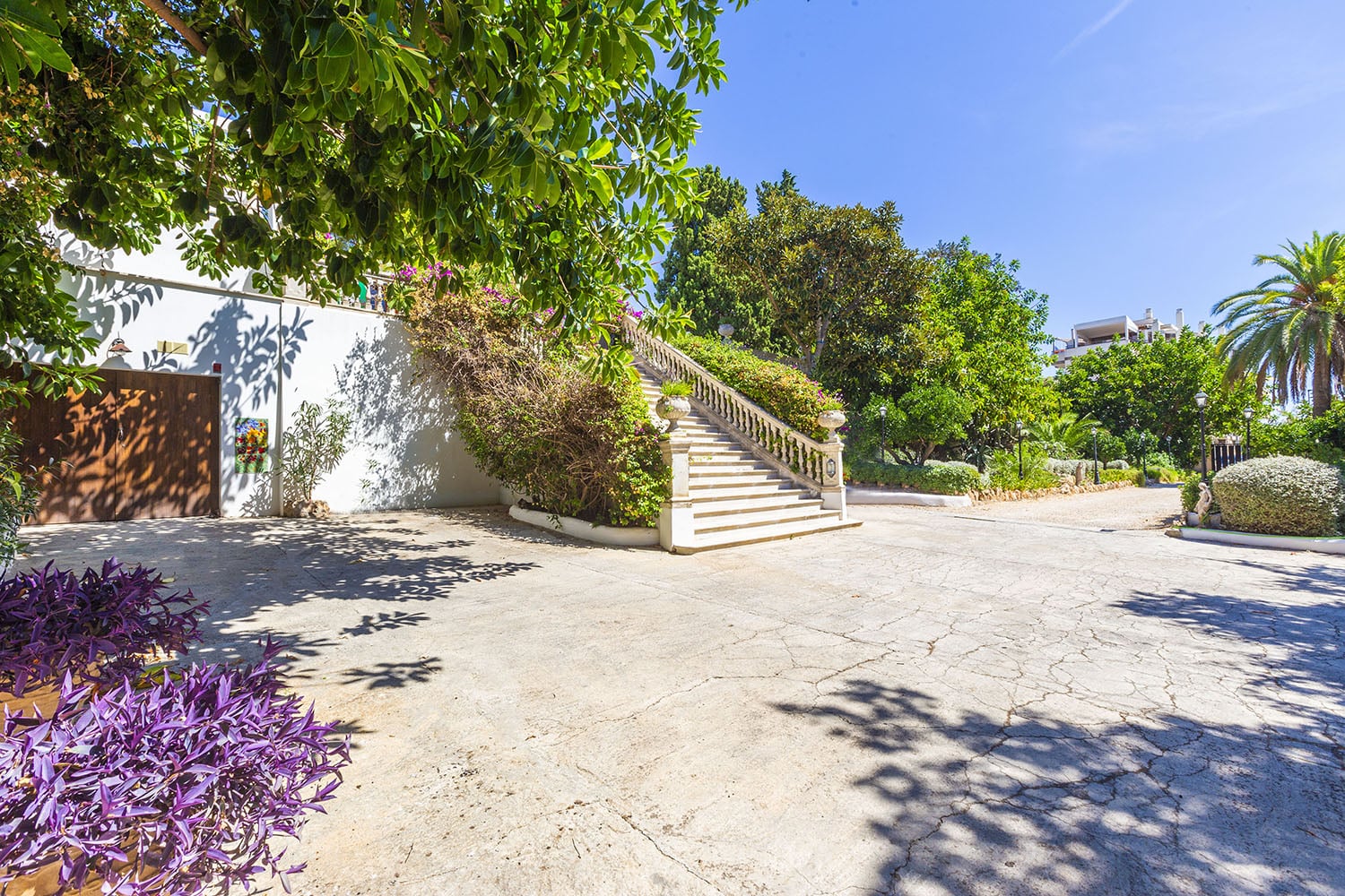 25551-miete-cala-mayor-u