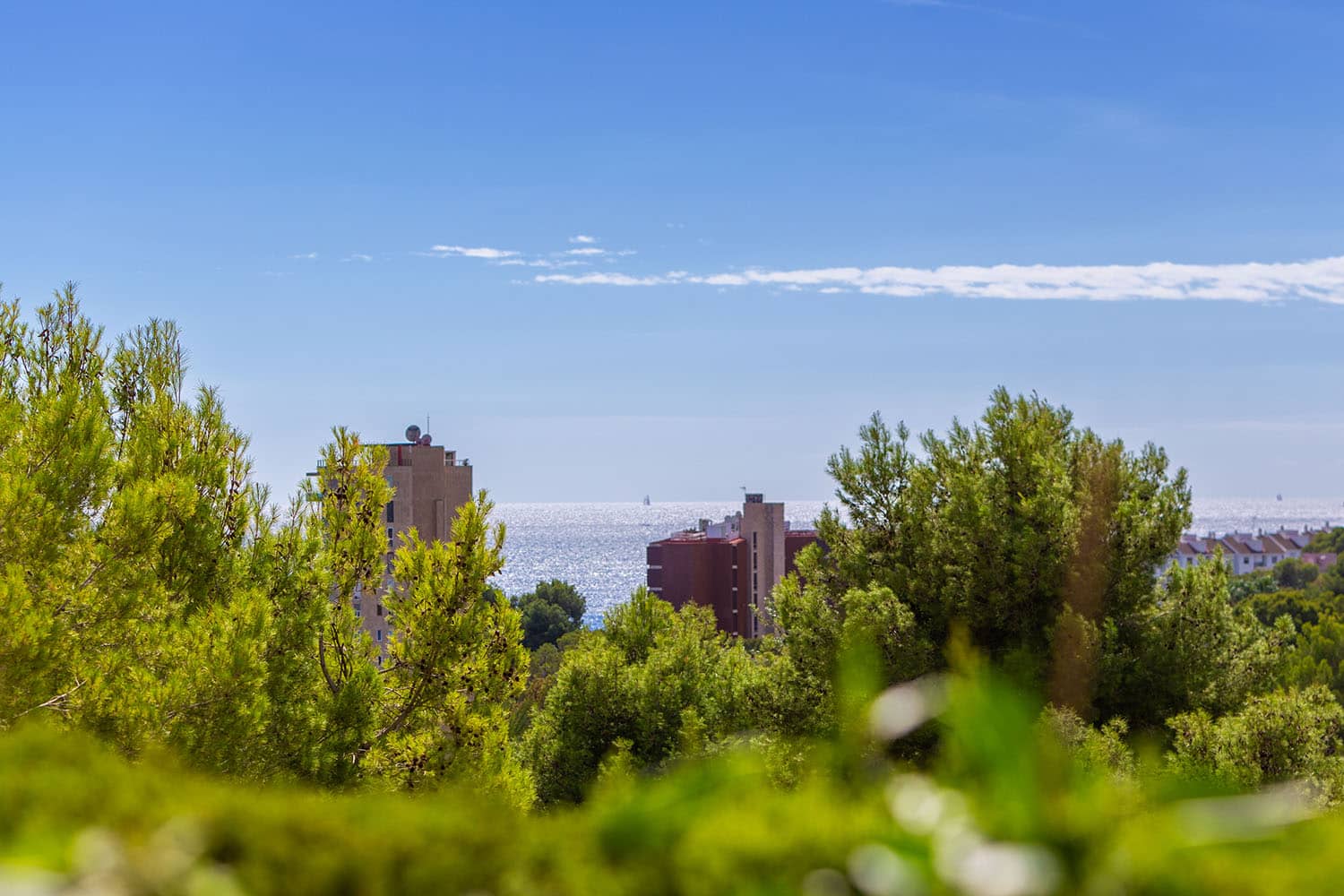 CasCatala-c