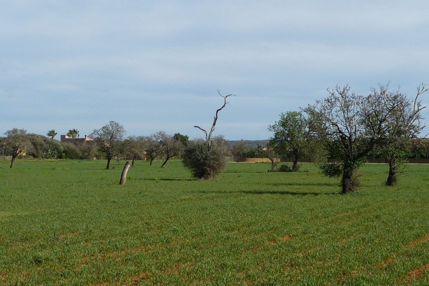 Parcela