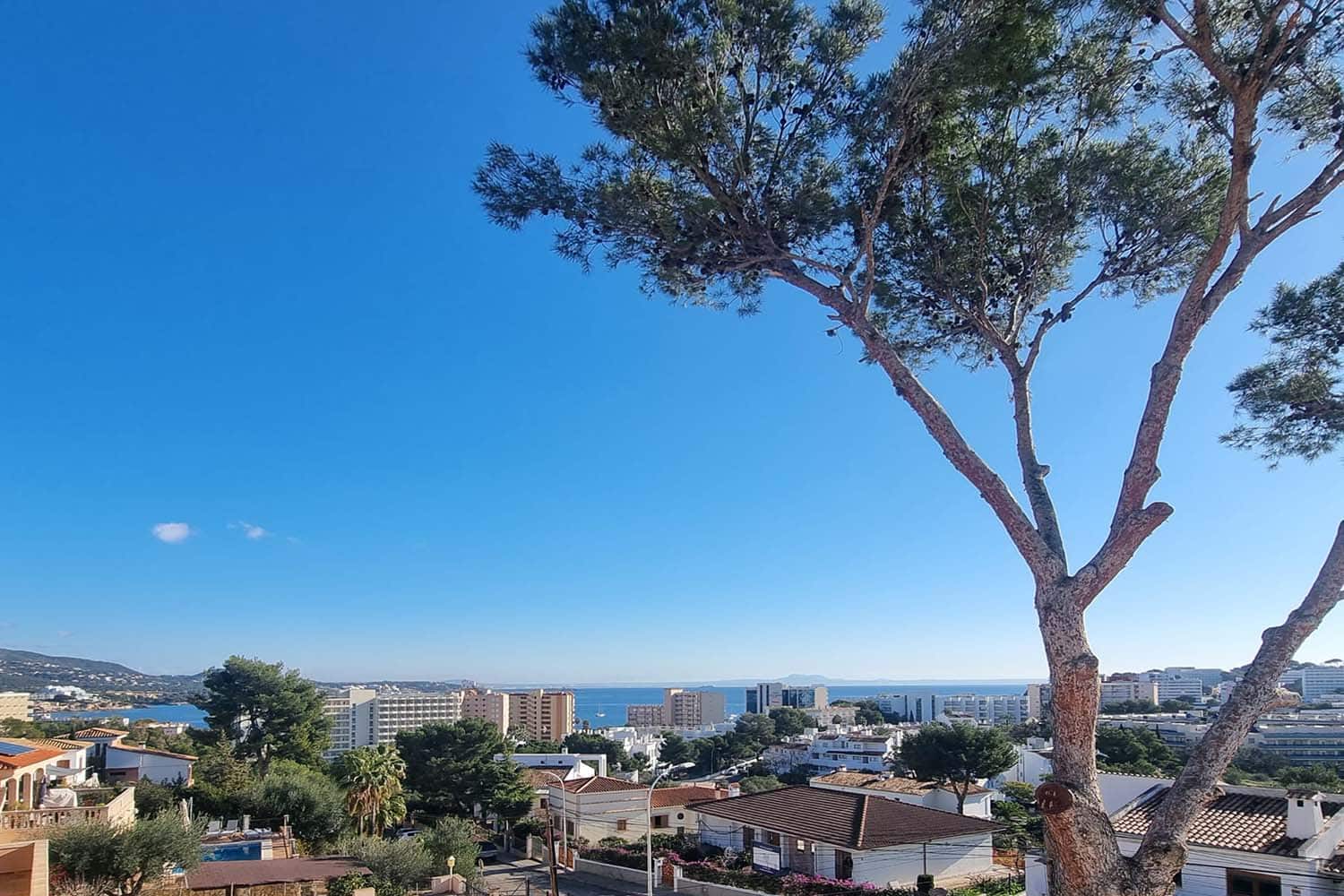 M12369-rent-palmanova-villa-a