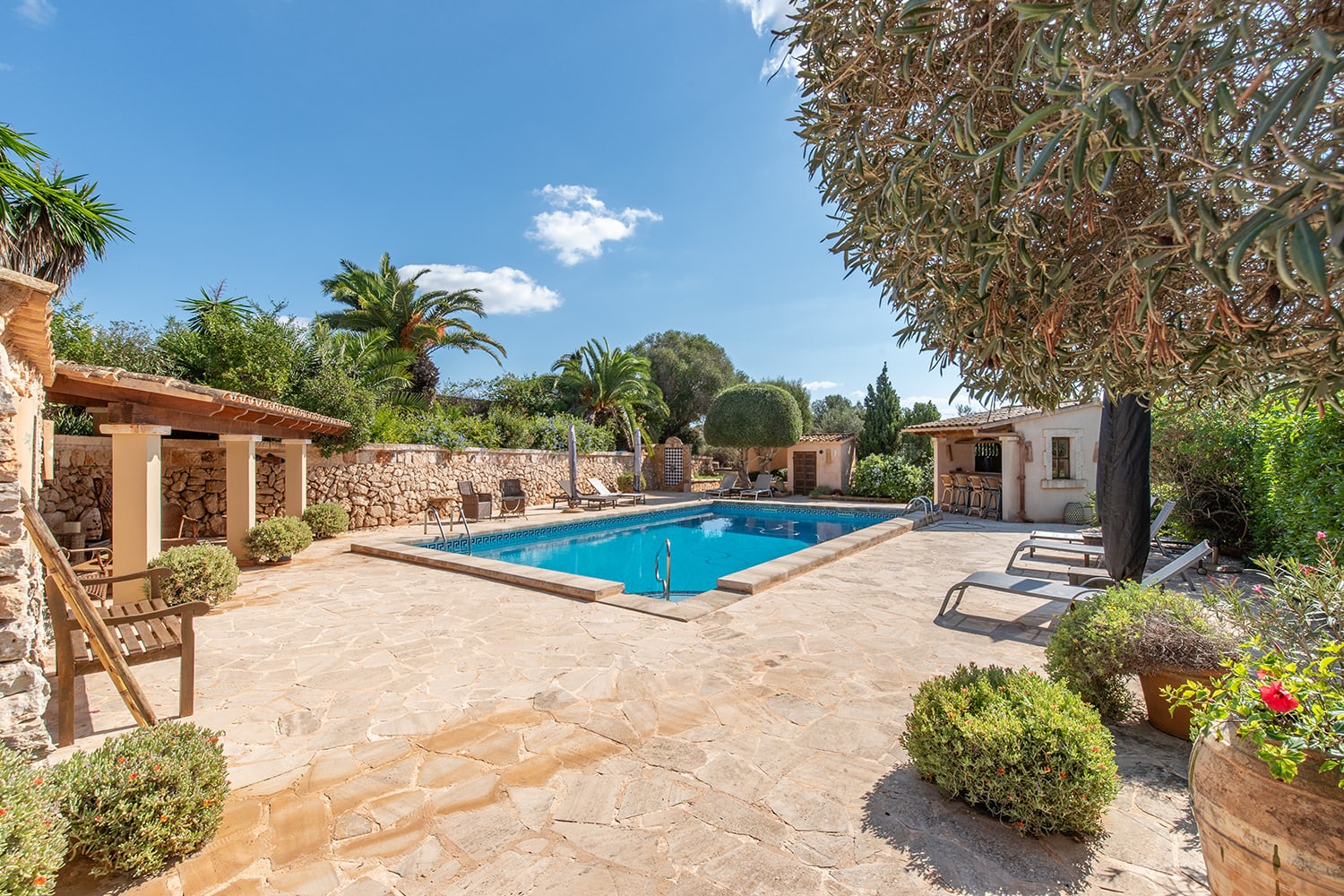 Area de la piscina con solariúm