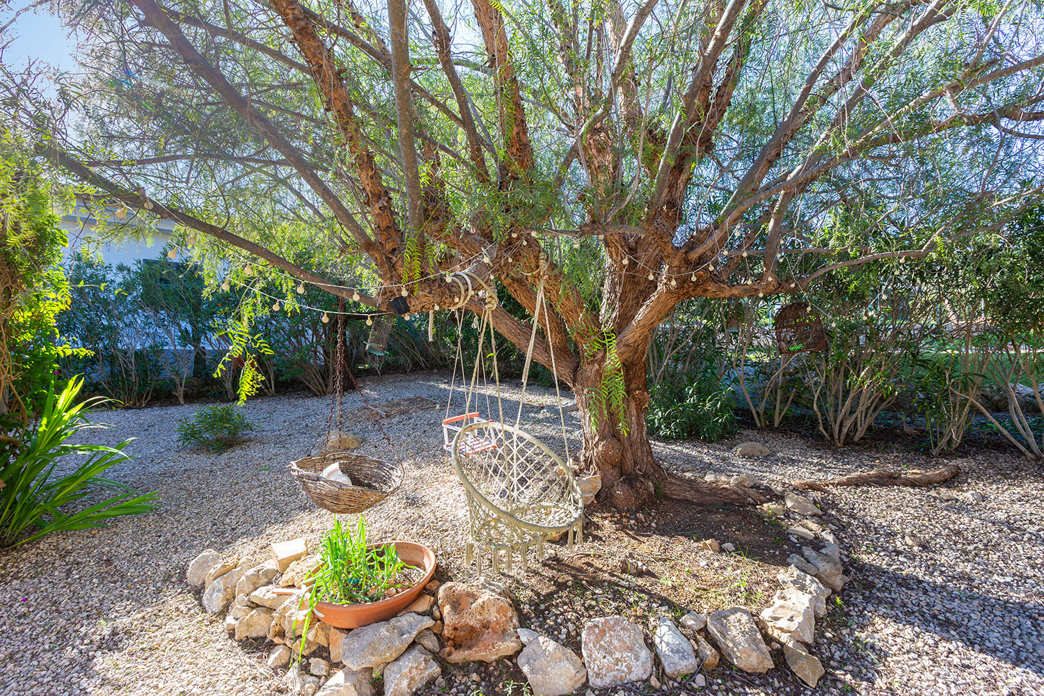 27174-finca-kauf-es-capdella-q