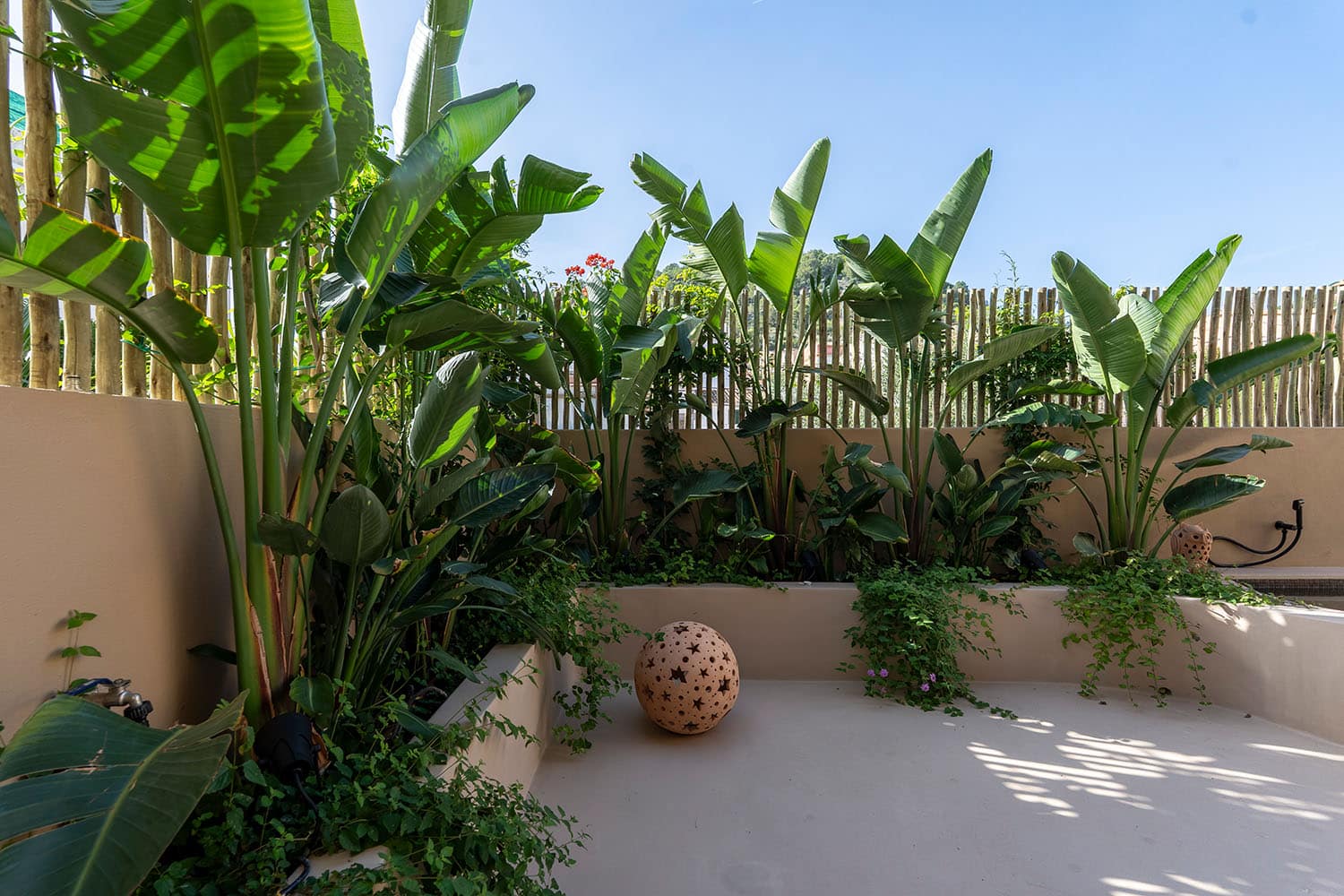 27189-haus-palma-mallorca-kaufen-r