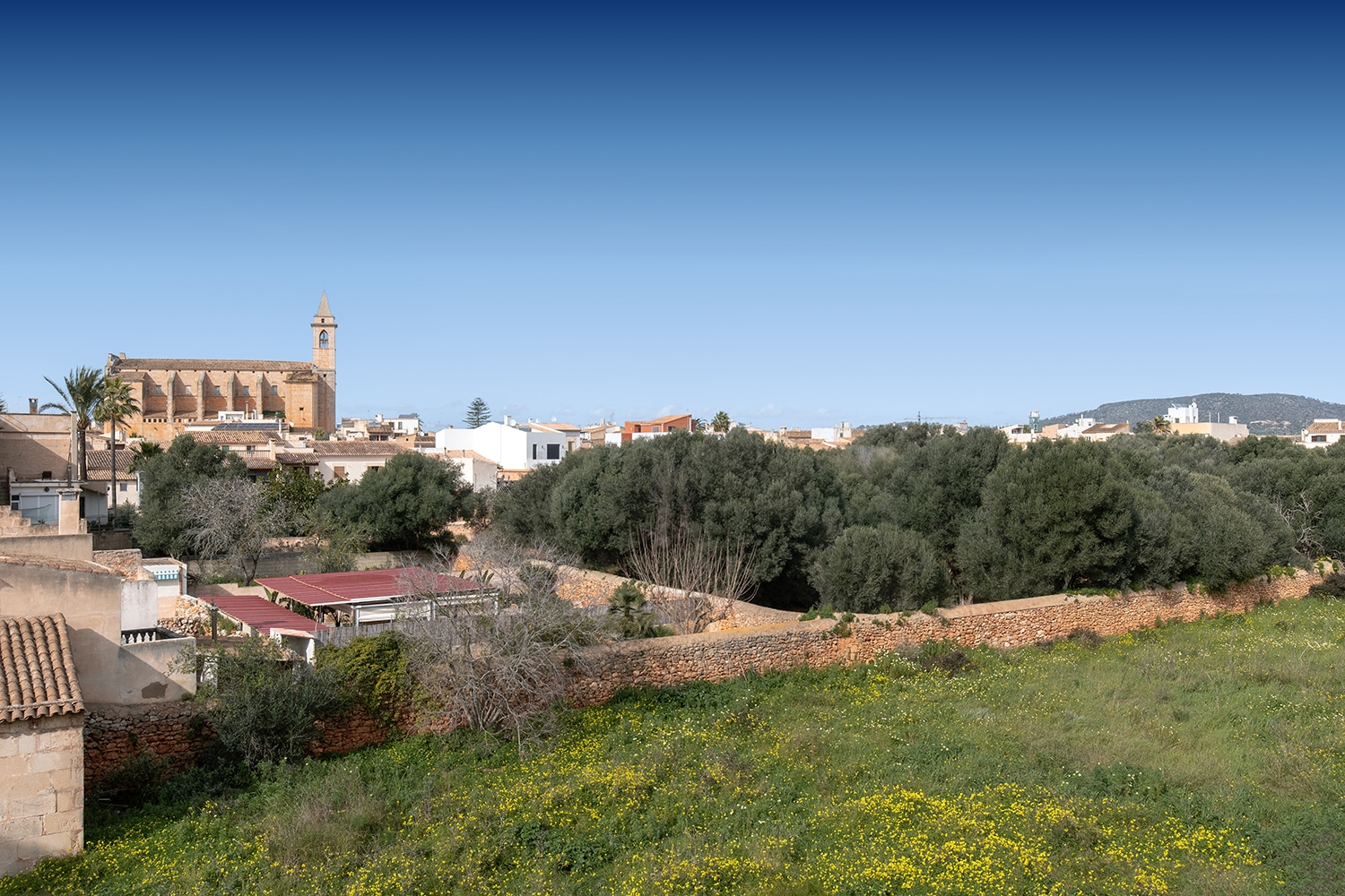 Vistas abiertas a zonas verdes y al casco histórico