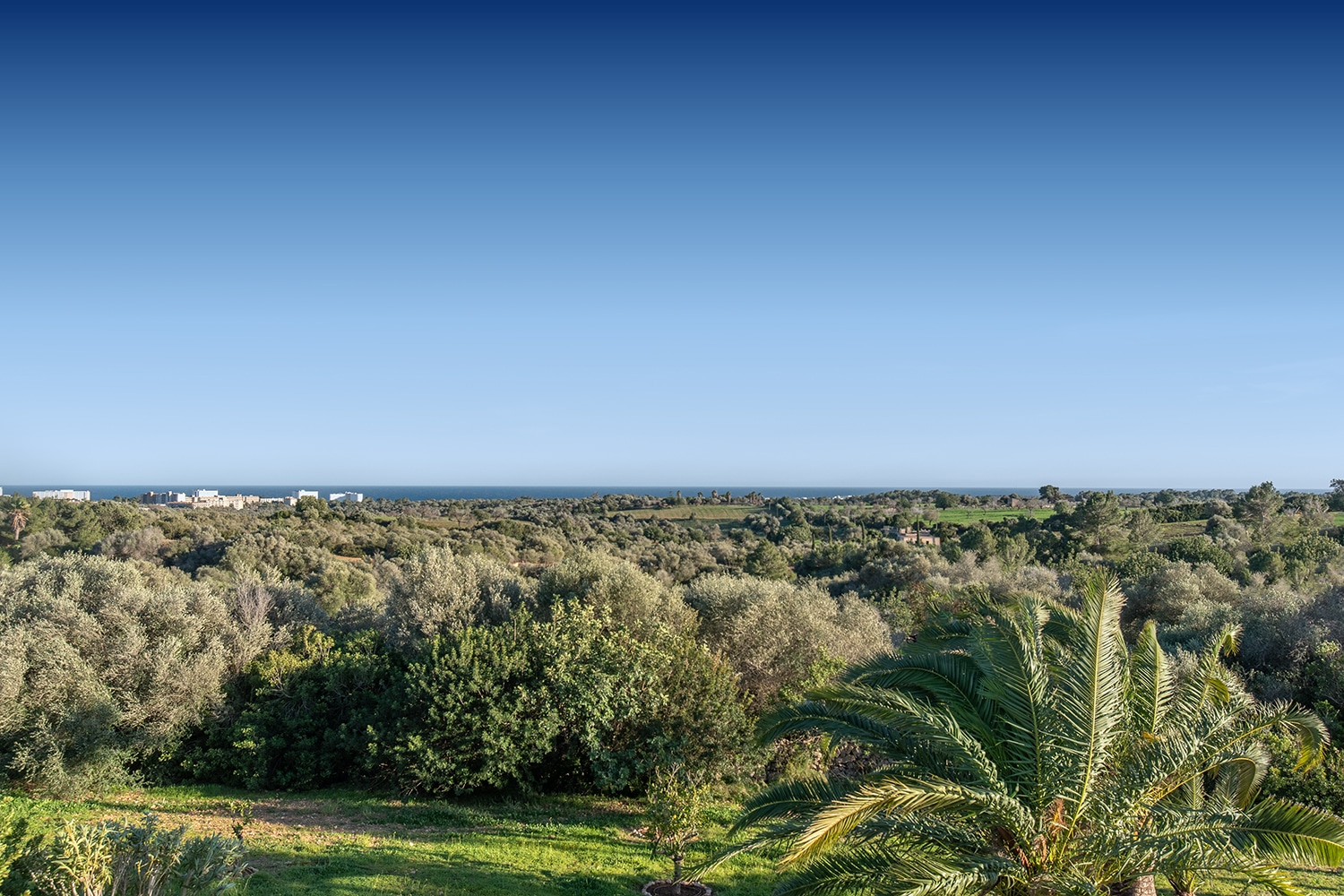 Hermosas vistas al mar