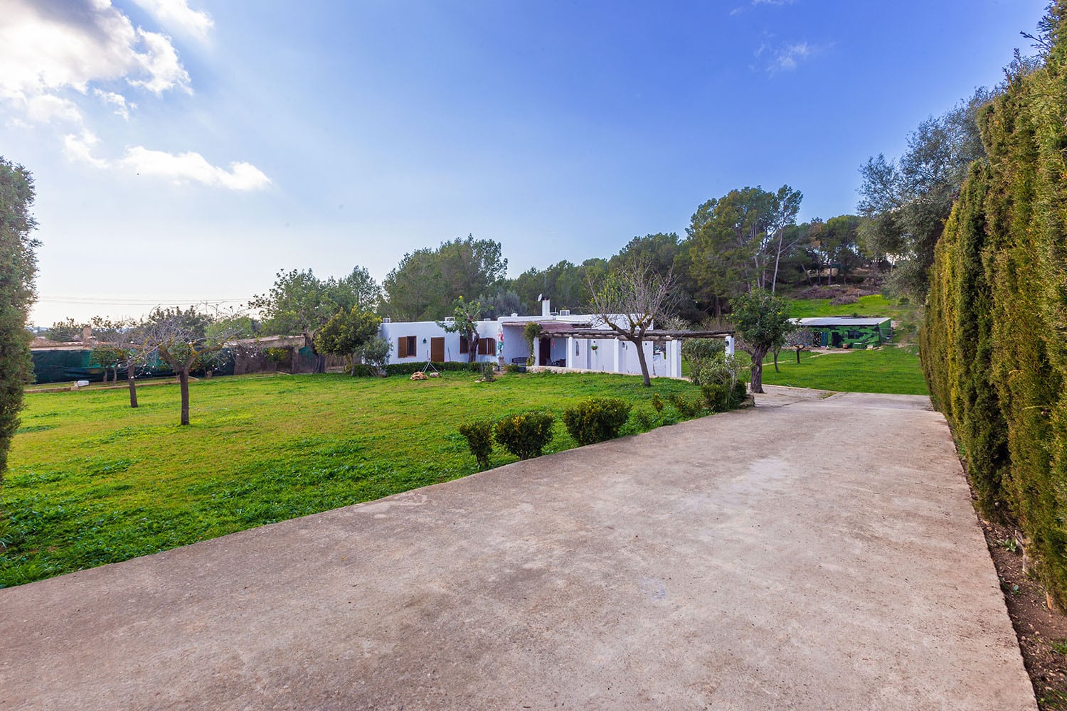 20638-finca-kauf-mallorca-calvia-q.jpg