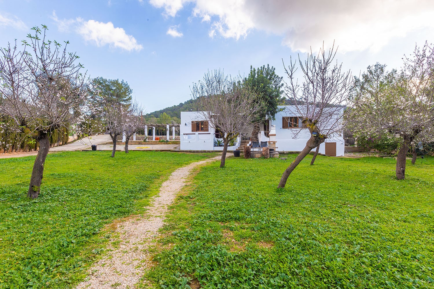 20638-finca-kauf-mallorca-calvia-r.jpg