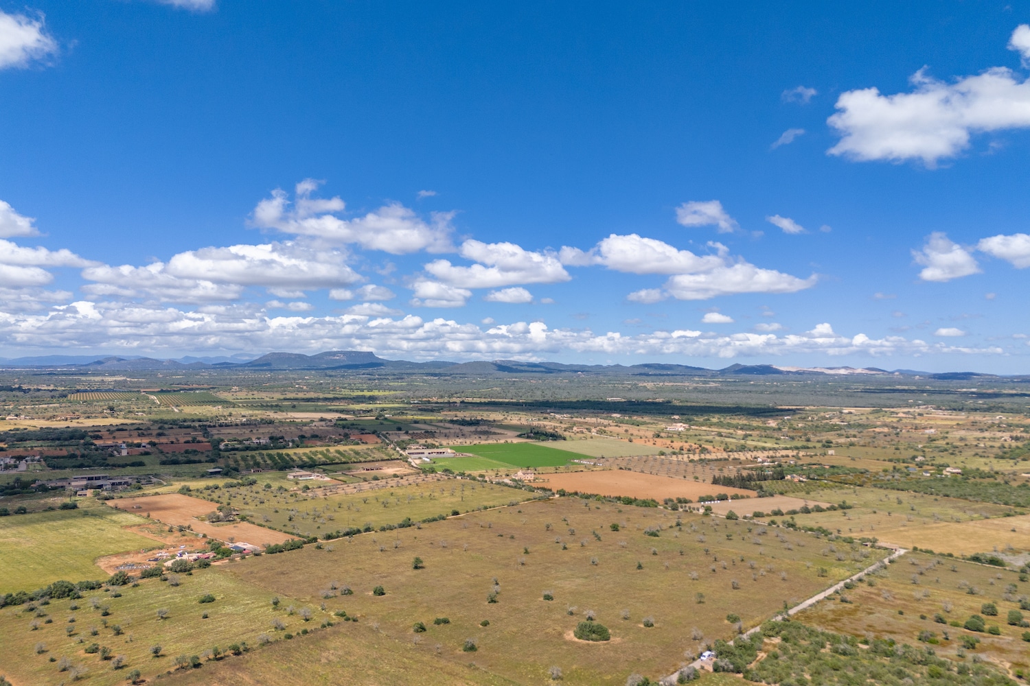 Vistas a la lejanía