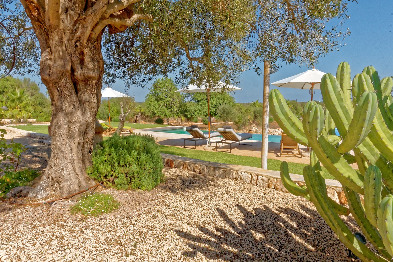 Jardín mediterraneo