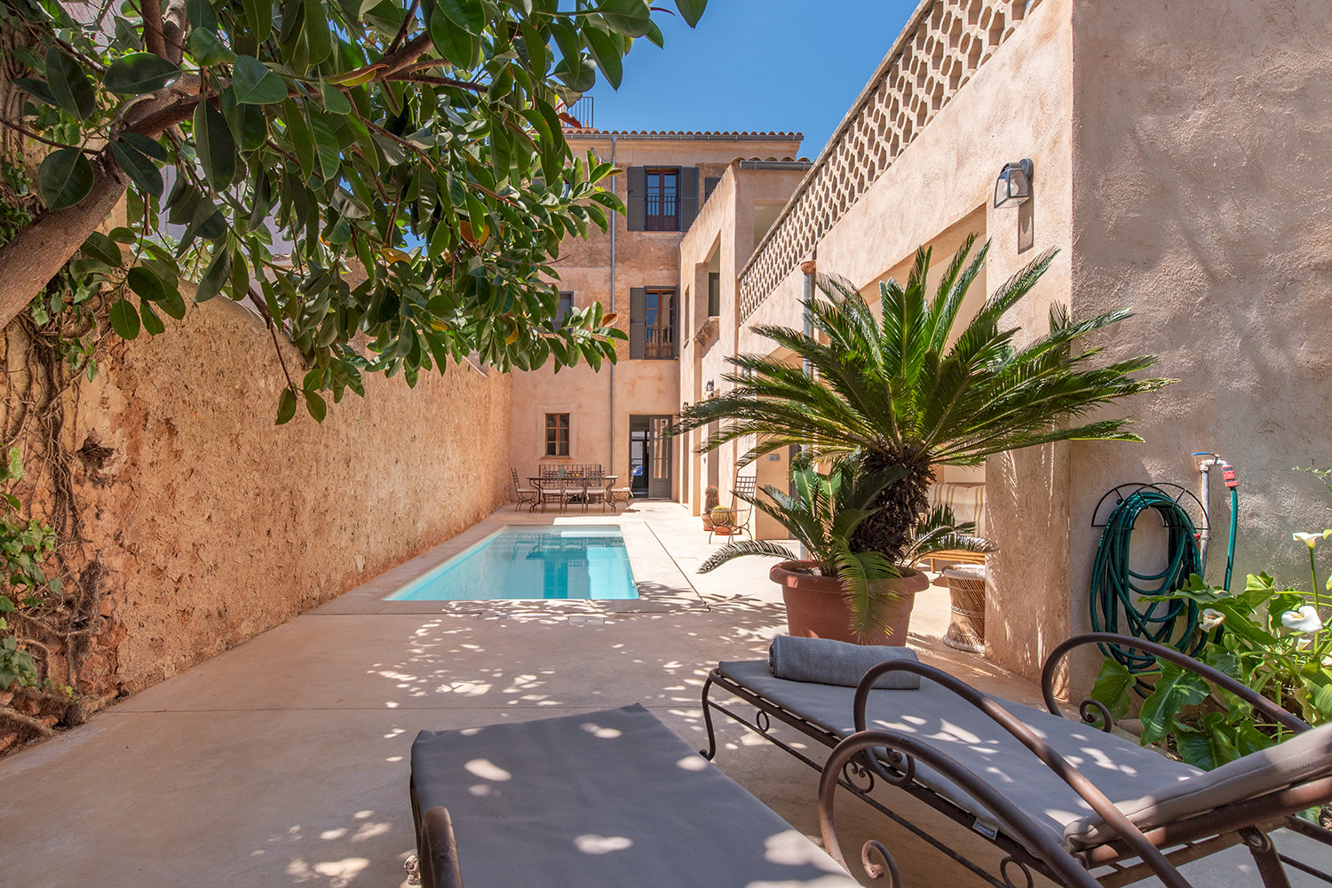 Amplio patio con solárium, piscina y vegetación mediterránea