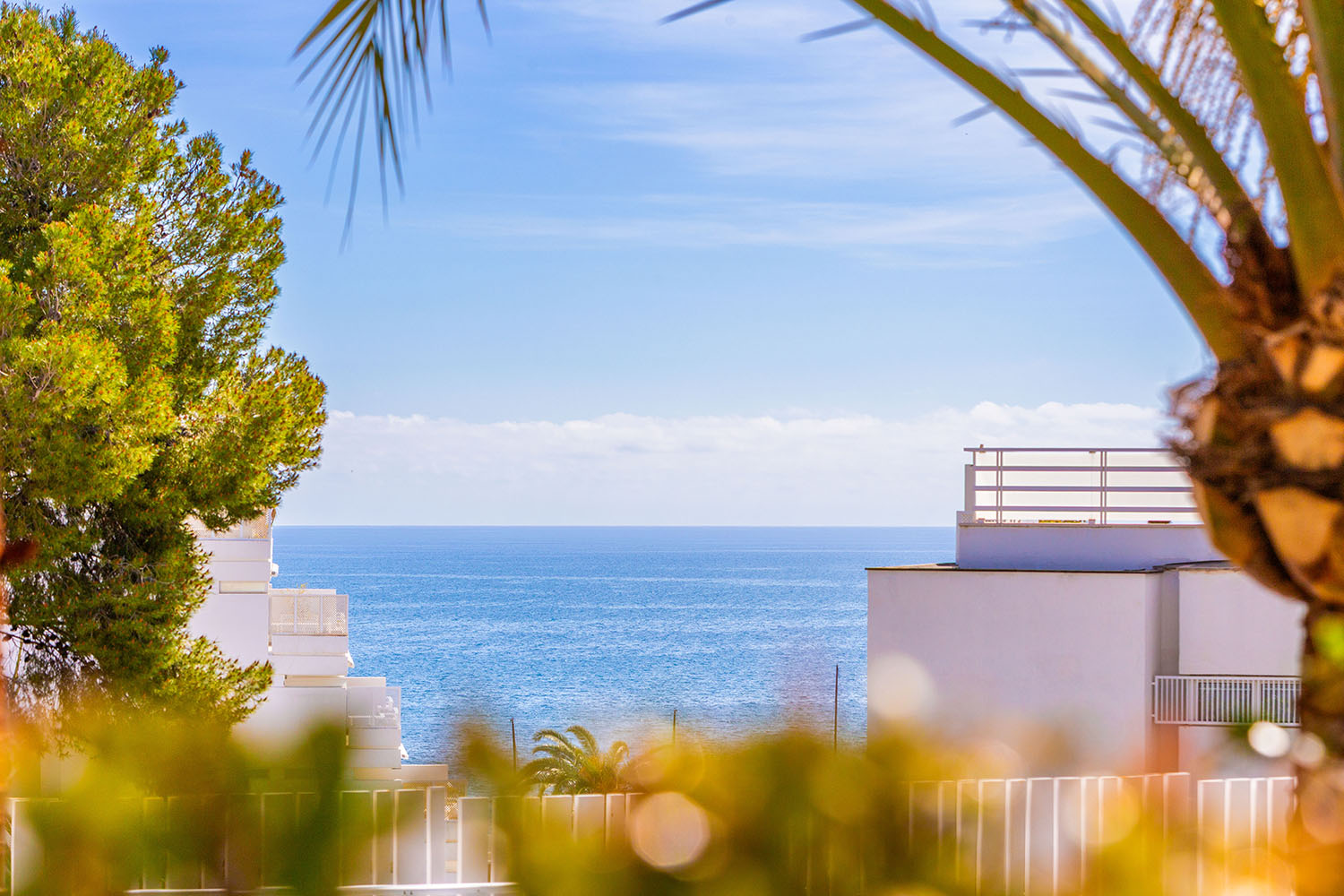 27278-garten-wohnung-kauf-portals-mallorca-b