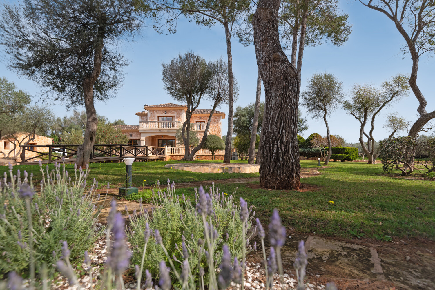Jardín mediterráneo con lavanda