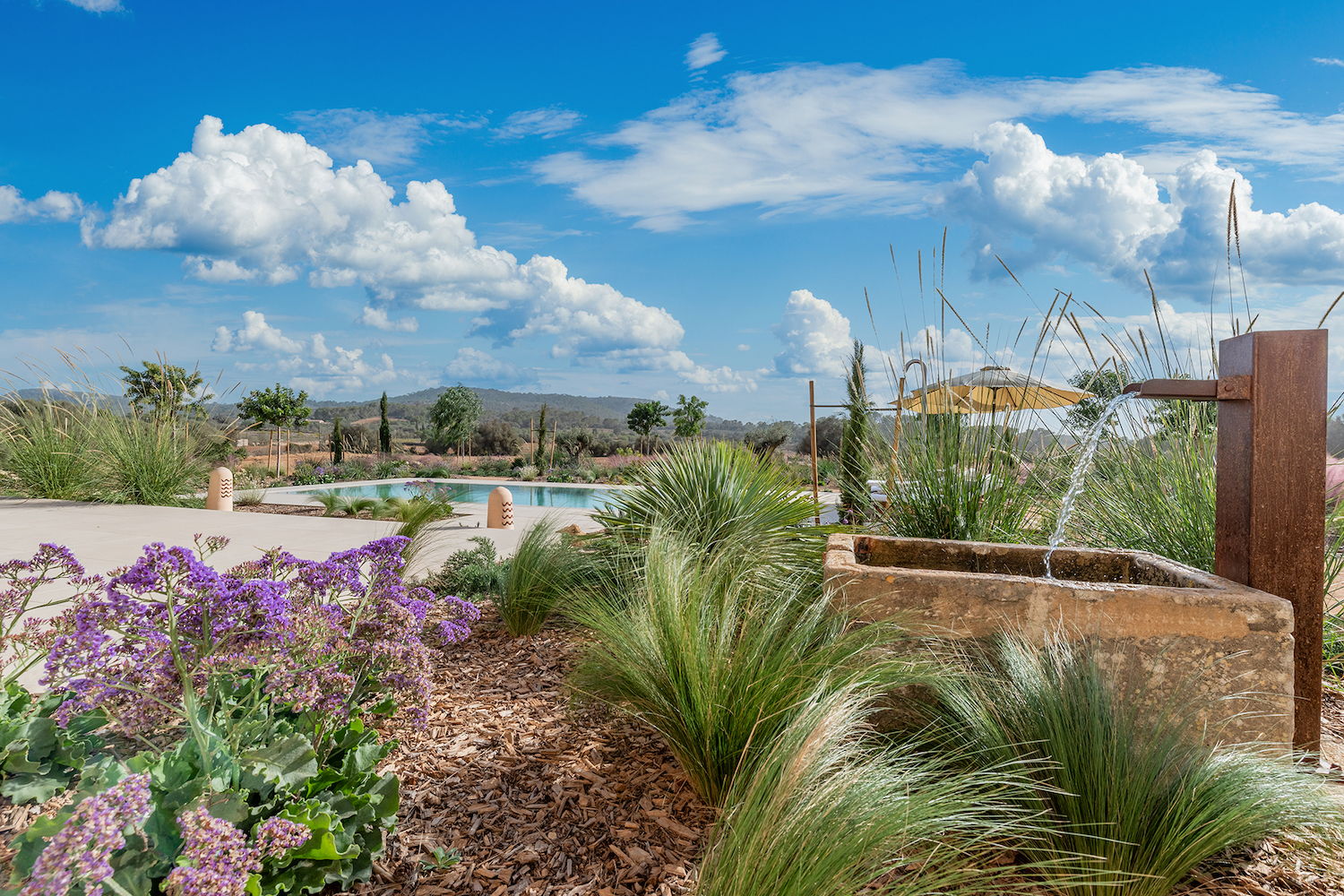 Jardín mediterraneo