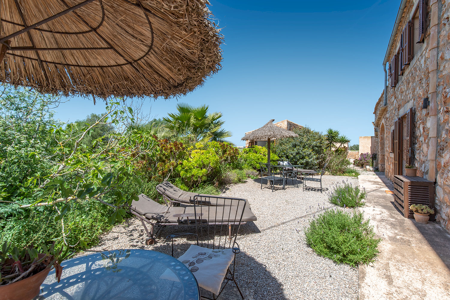Ambiente mediterraneo