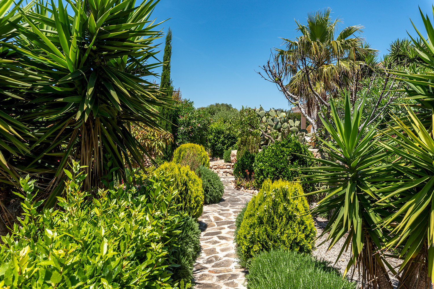 jardin / terreno edificable 