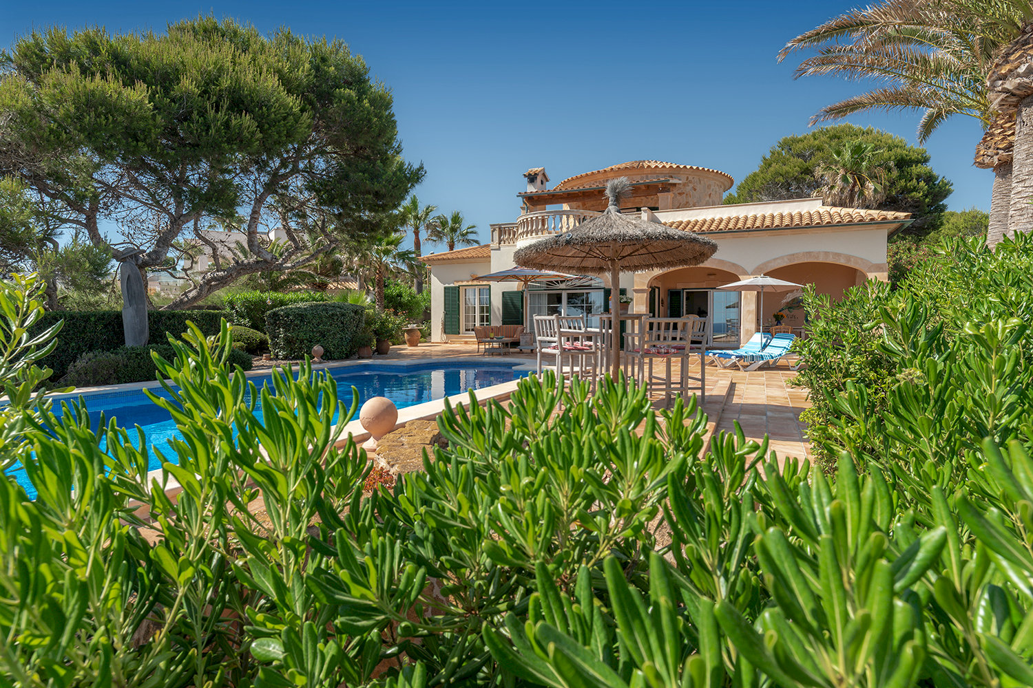 Jardín mediterráneo