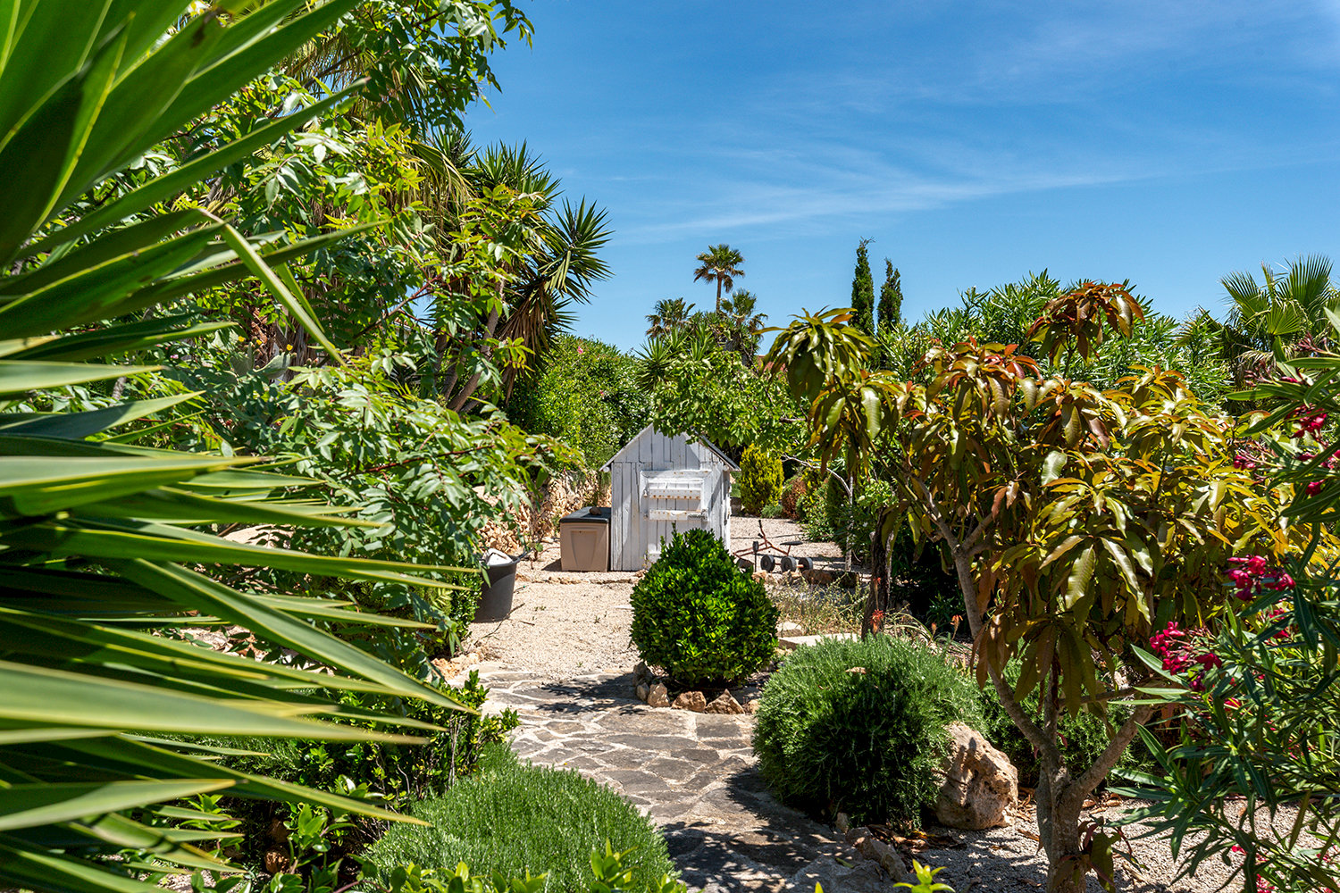 jardin / tereno edificable