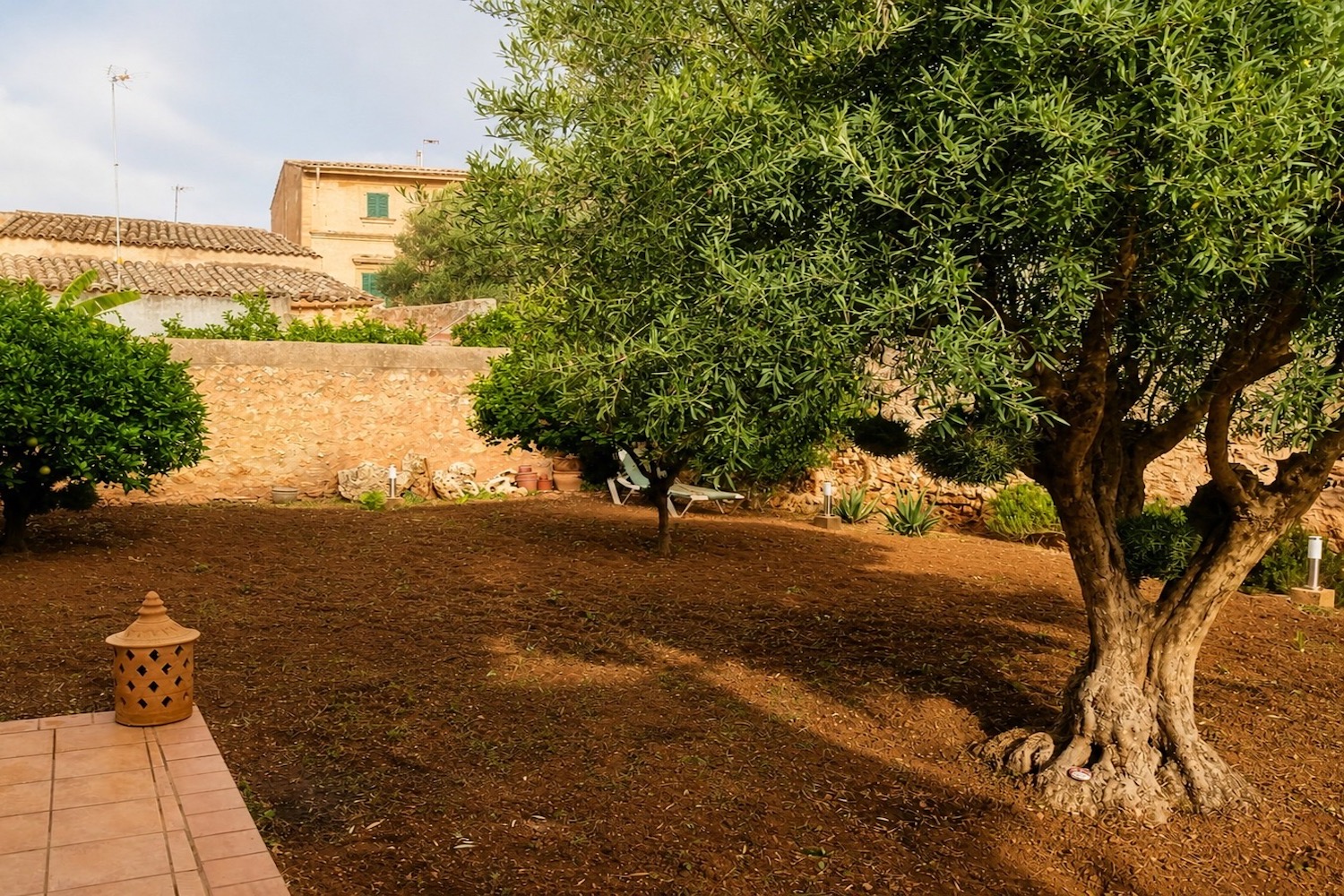 Jardín privado con olivo y muros de piedra: refugio tranquilo
