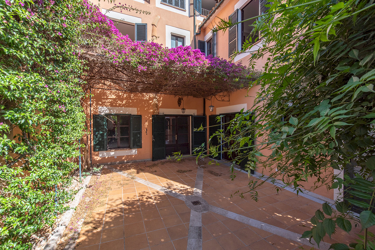 Patio con plantas