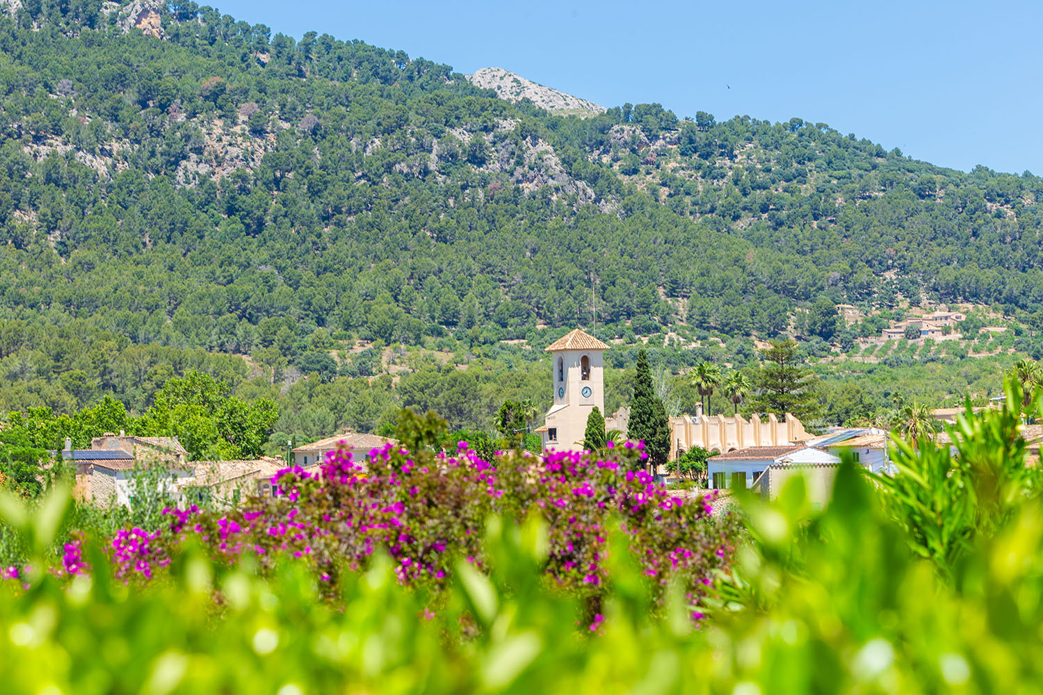 27468-luxus-finca-kauf-es-capdella-u