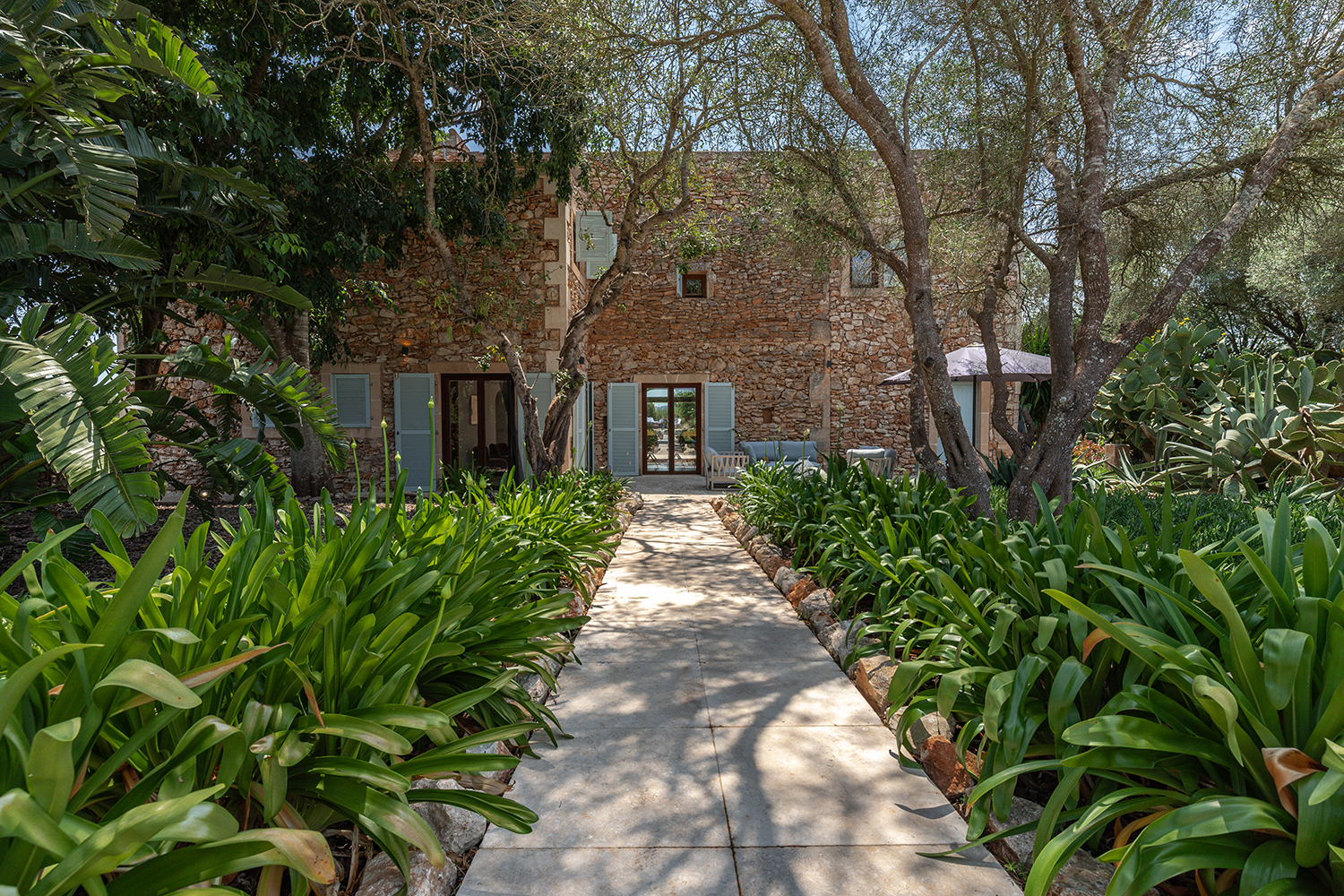 Jardín maduro