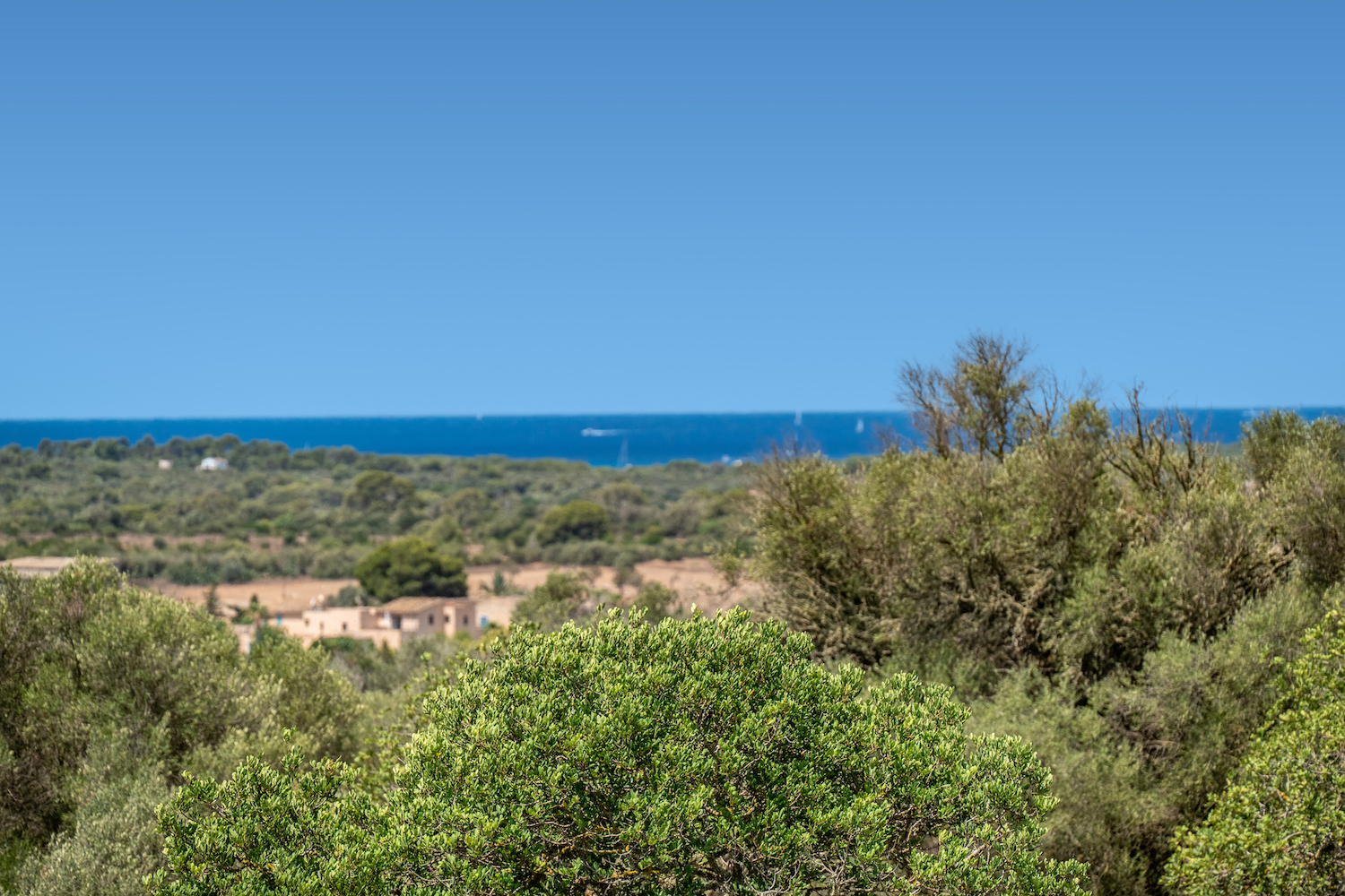 Vista al mar