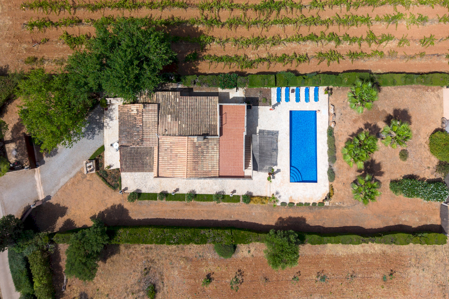Vista aérea de la finca con piscina y amplia parcela