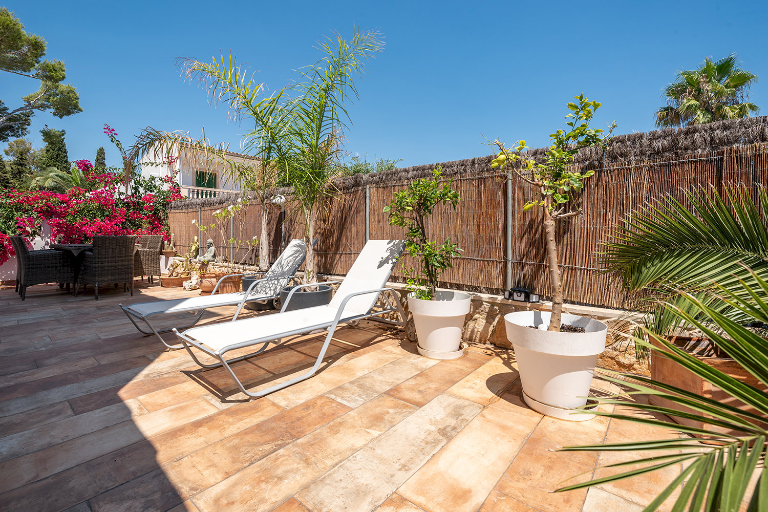 Terraza solarium