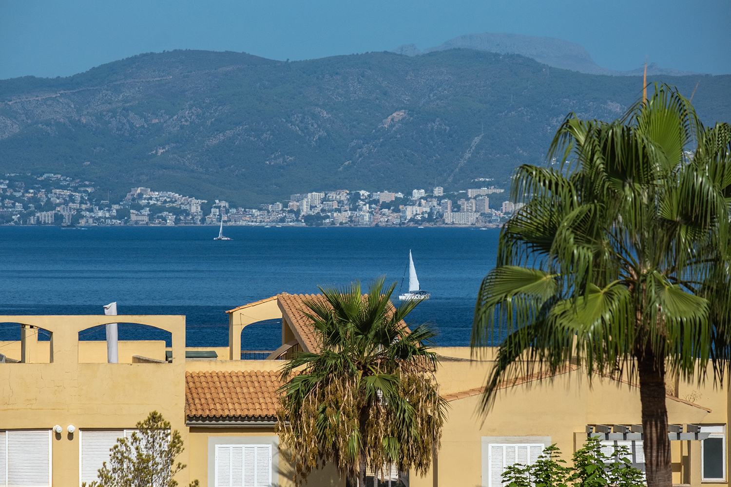 Fantastic sea view