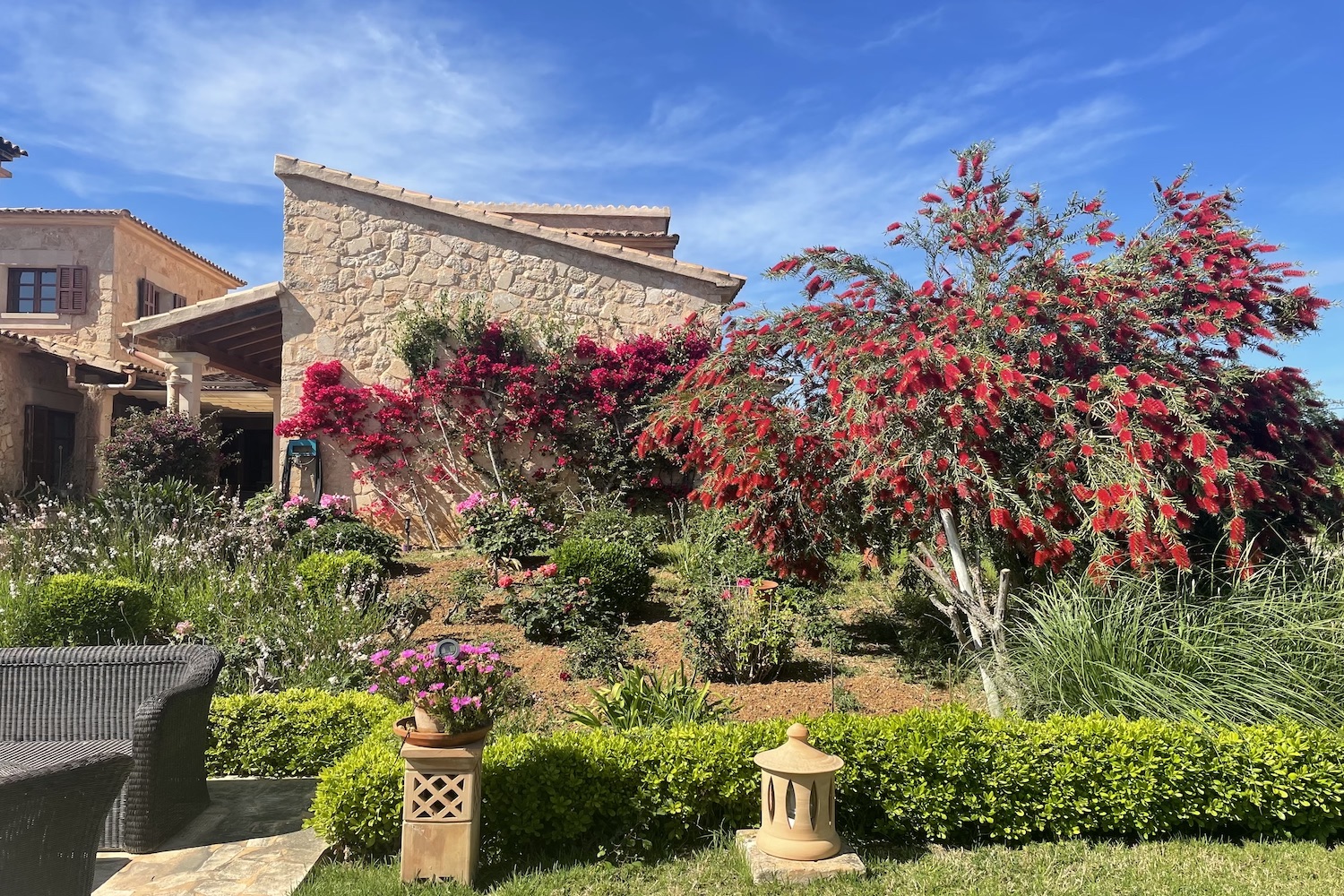 Jardín maduro