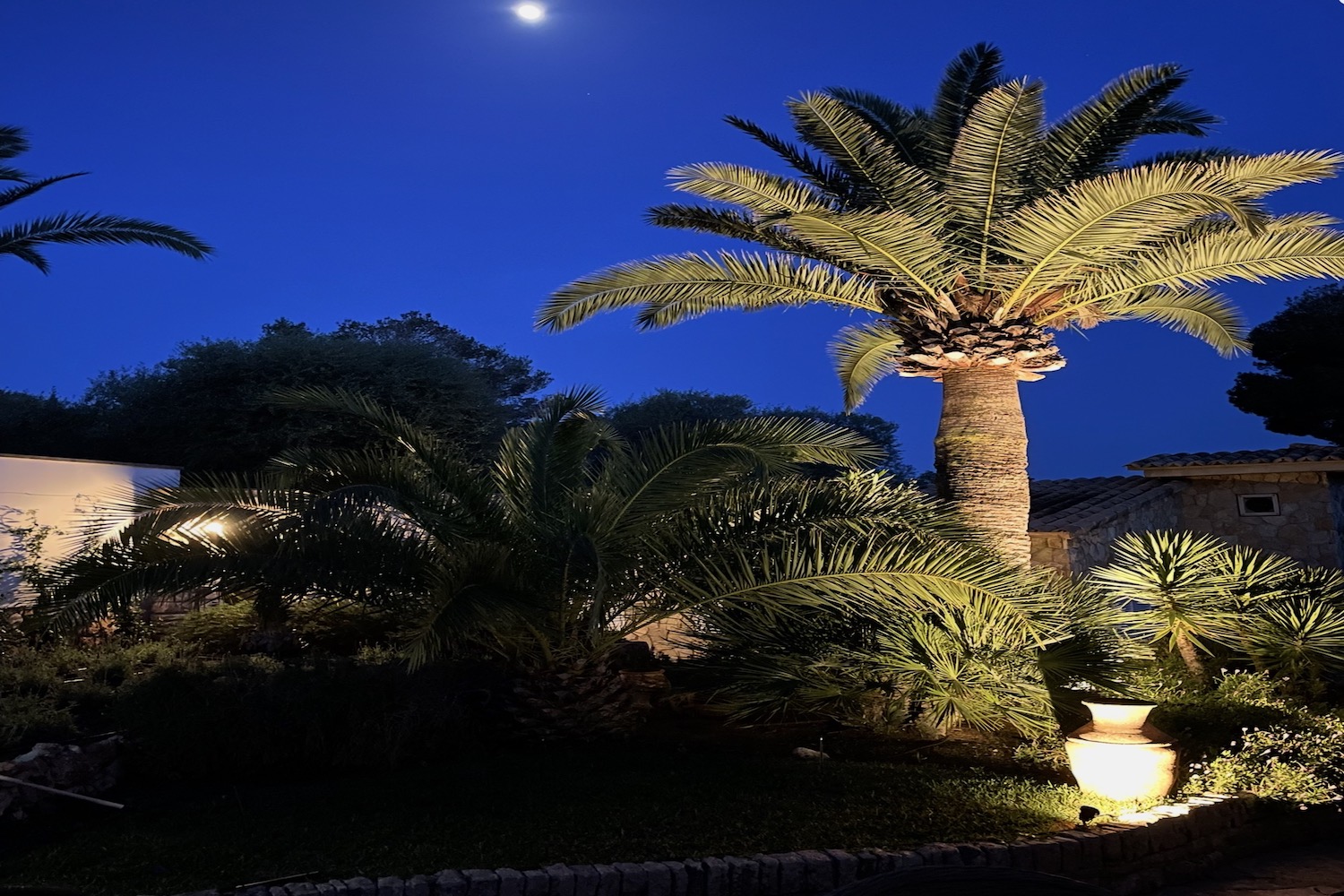 Jardín al atardecer