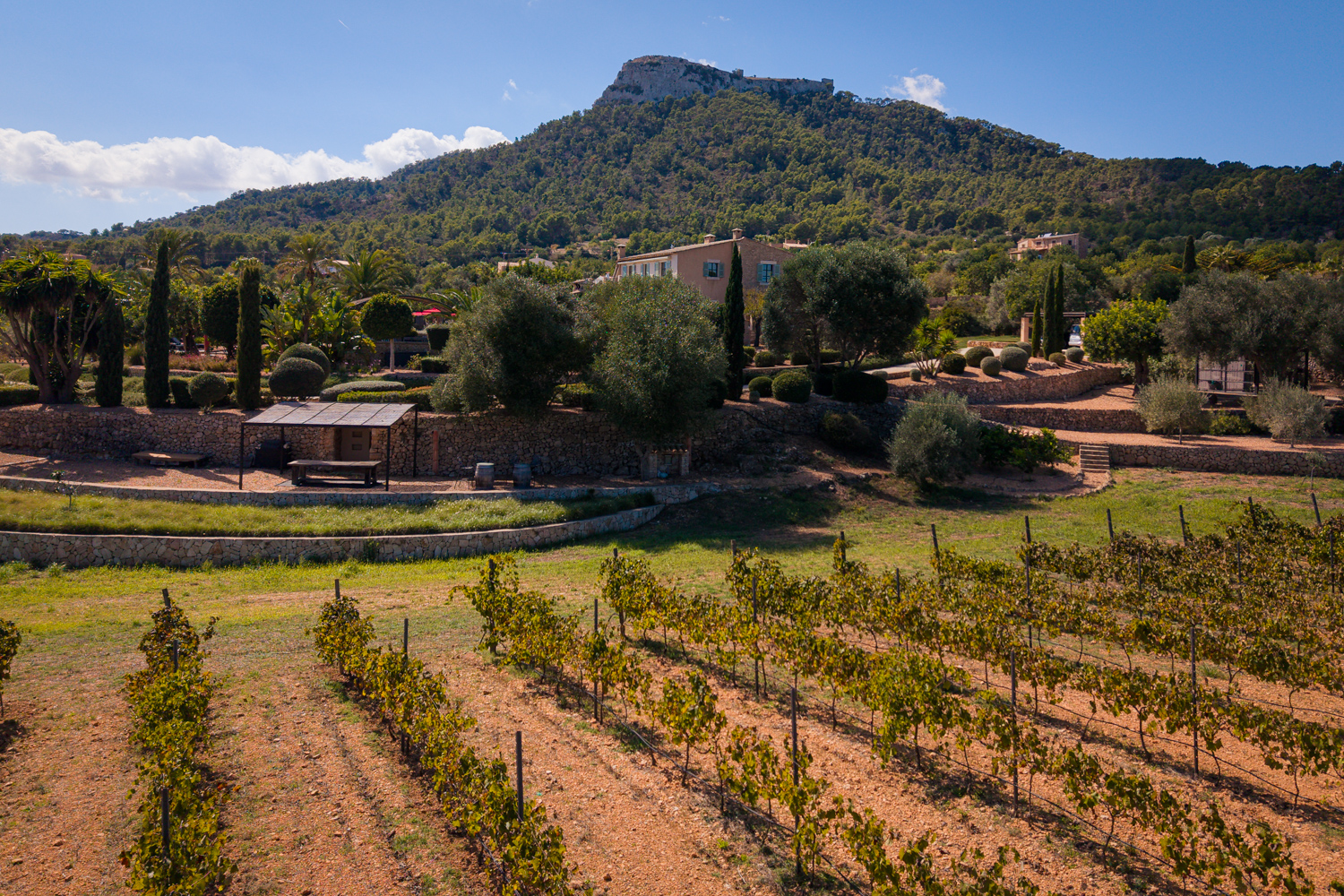 Finca con viñedos propios