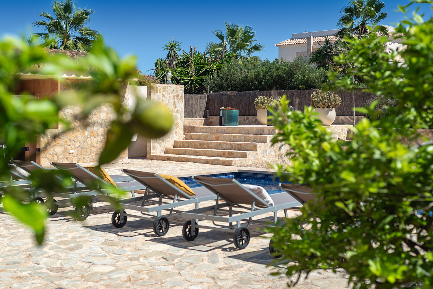 vista al jardin